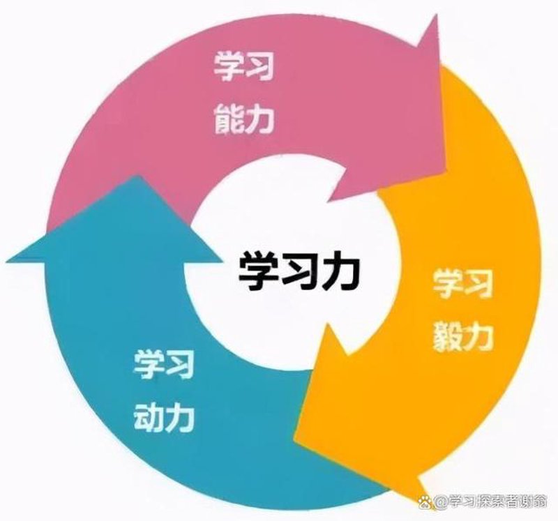 北京金豆豆：寻找未来教育者