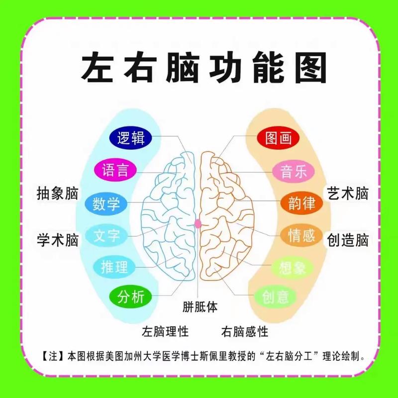 儿童智力开发黄金年龄:家长如何把握关键期