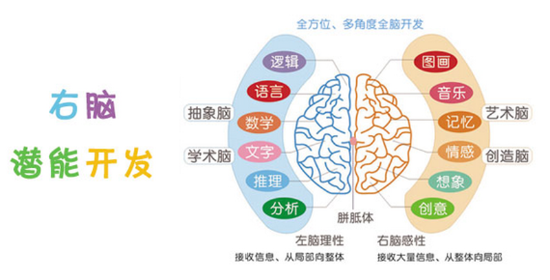 北京金豆豆幼儿园招聘：开启童年的美好旅程